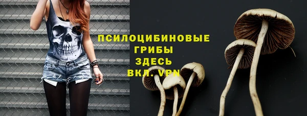 прущие крисы Абаза