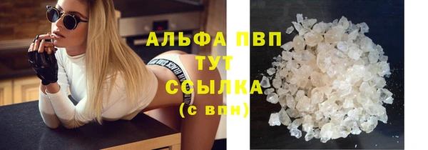 прущие крисы Абаза