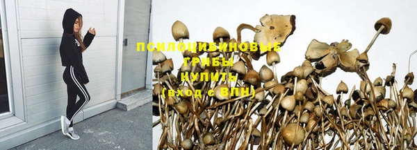 молекула духа Абдулино