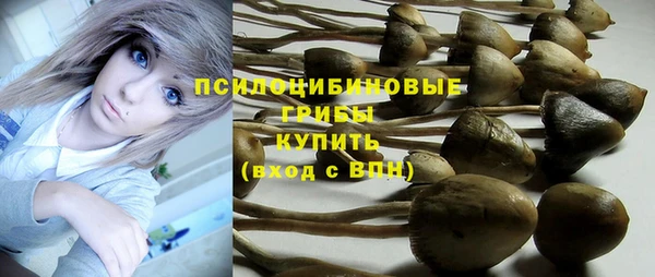 шишки Абинск