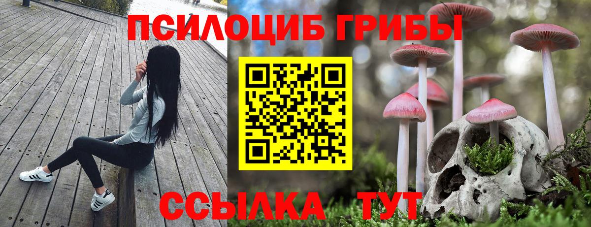 Нижневартовск  Псилоцибиновые грибы MAGIC MUSHROOMS  Вход с VPN 